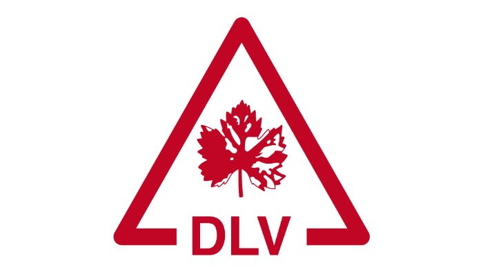 Doenças do Lenho da Videira (DLV)